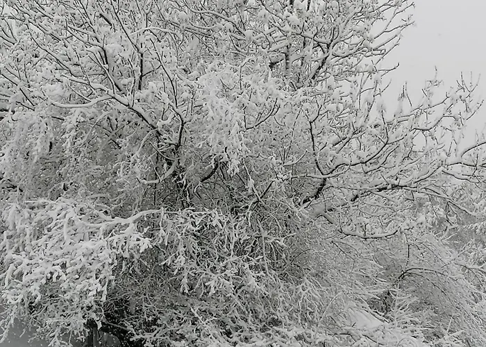 Cesana Lägenhet Cesana Torinese